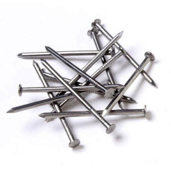 Regular Steel Nails